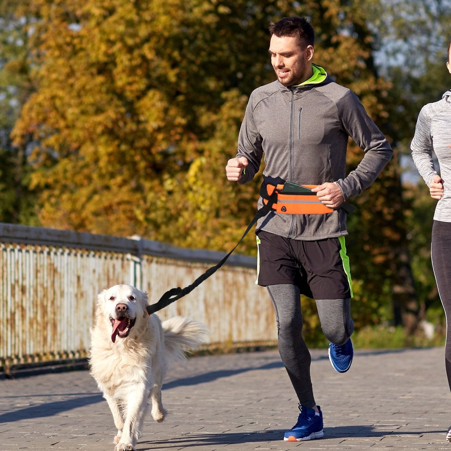 Hands-Free Dog Leash Bag – Adjustable & Reflective