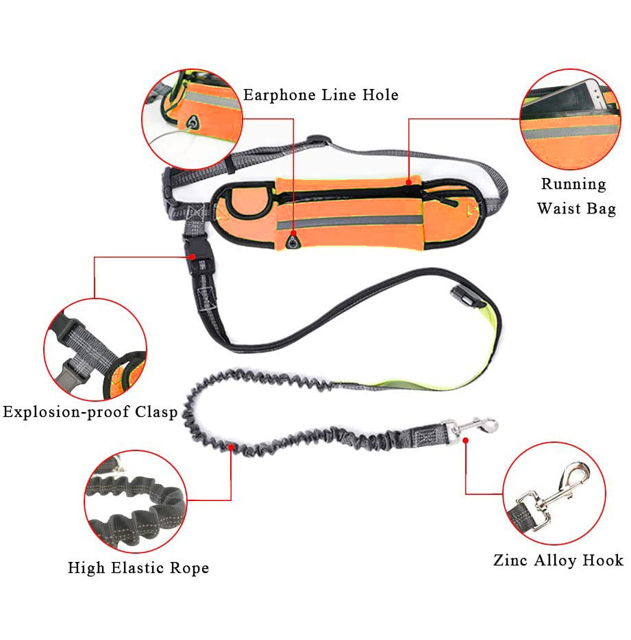 Hands-Free Dog Leash Bag – Adjustable & Reflective
