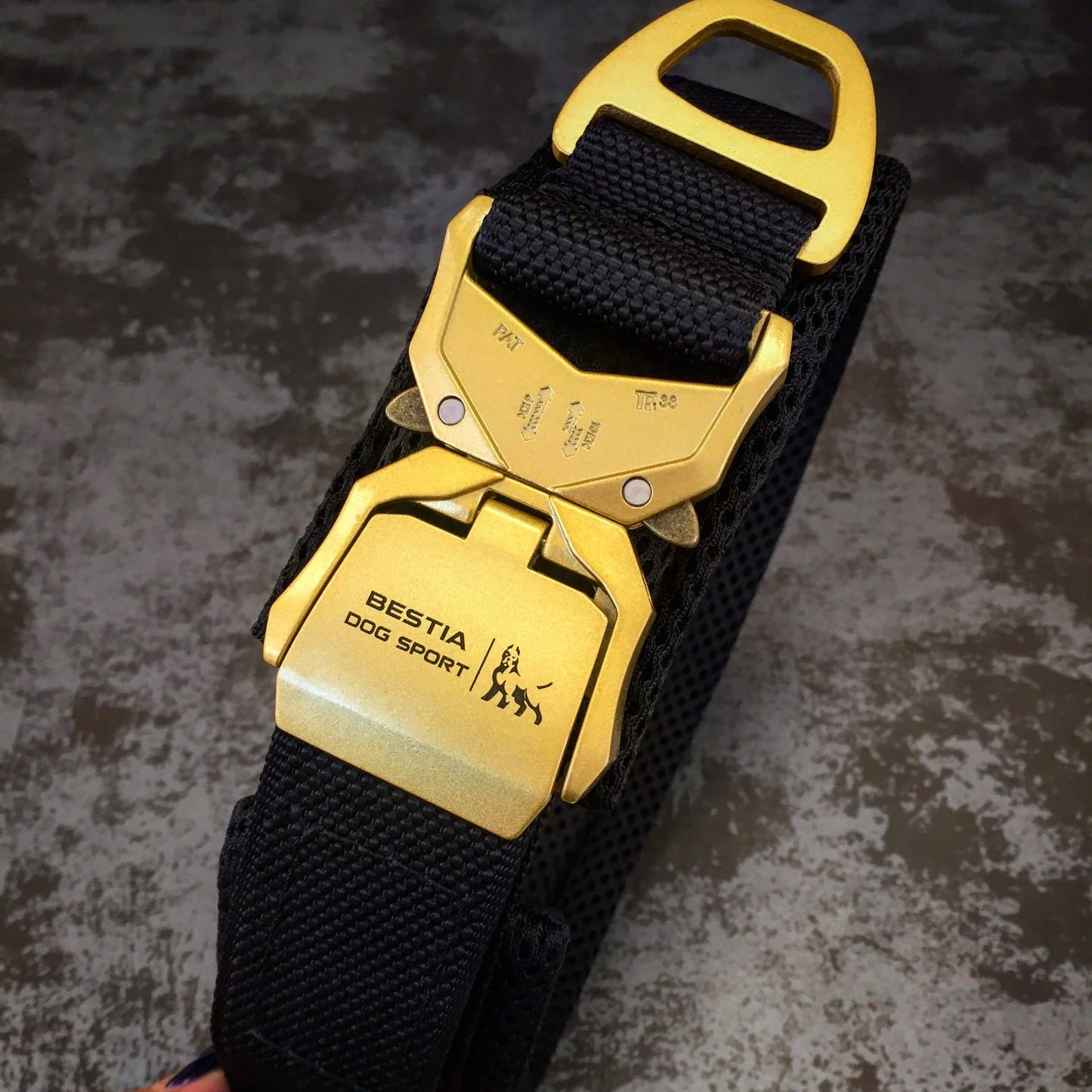 Sport Fast-Release Dog Collar – Black & Gold